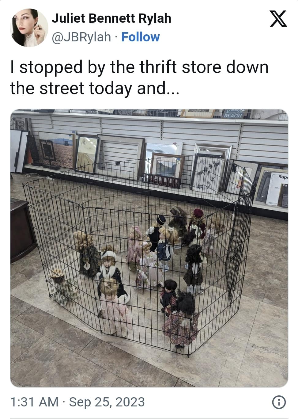 Juliet Bennett Rylah @JBRylah • Follow I stopped by the thrift store down the street today and .. • X 1:31 AM • Sep 25, 2023