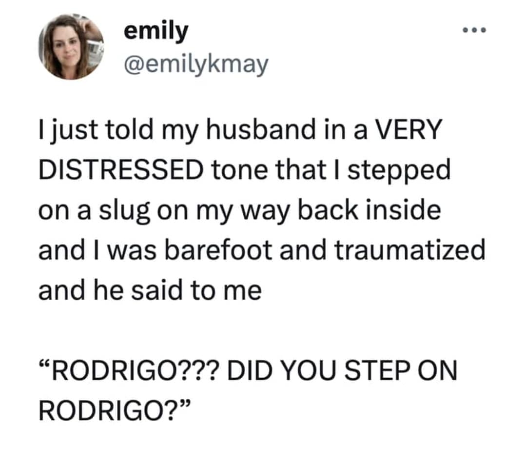 meme dump, hilarious memes, funny memes, viral memes, meme collection, meme stash, dank memes, trending memes, fresh memes, best memes, laugh memes, humor memes, meme roundup, weekend memes, pic dump, meme batch, meme bundle, internet memes, comedy memes, meme binge, memes funny, internet meme