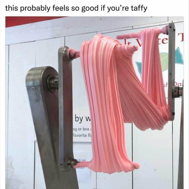 this probably feels so good if you're taffy e by w ag or box favorite fl