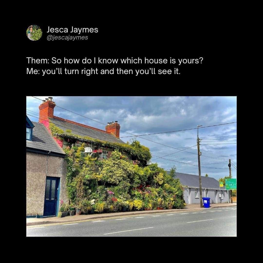 meme dump, funny memes, hilarious memes, trending memes, meme collection, meme roundup, fresh memes, viral memes, dank memes, lol memes, comedy memes, internet memes, meme gallery, dank memes, dank meme dump, memes funny, internet meme