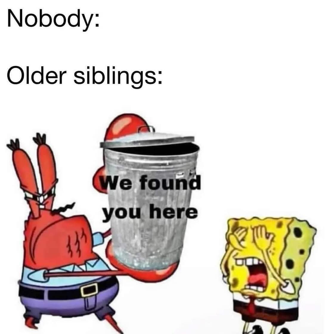 Nobody: Older siblings: We found you here