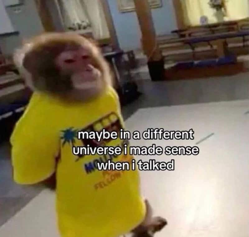 monkey meme, monkey memes, ape memes, funny animal memes, chimp memes, primate jokes, banana memes, gorilla humor, monkey jokes