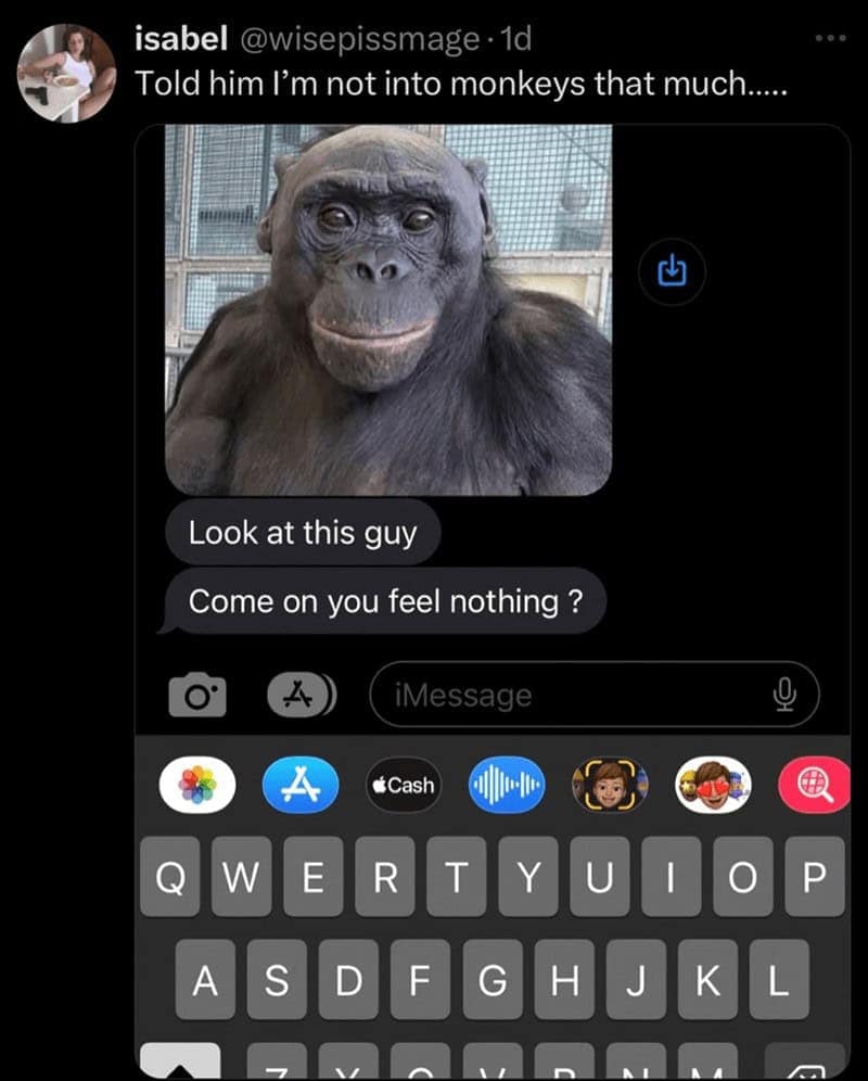 monkey meme, monkey memes, ape memes, funny animal memes, chimp memes, primate jokes, banana memes, gorilla humor, monkey jokes