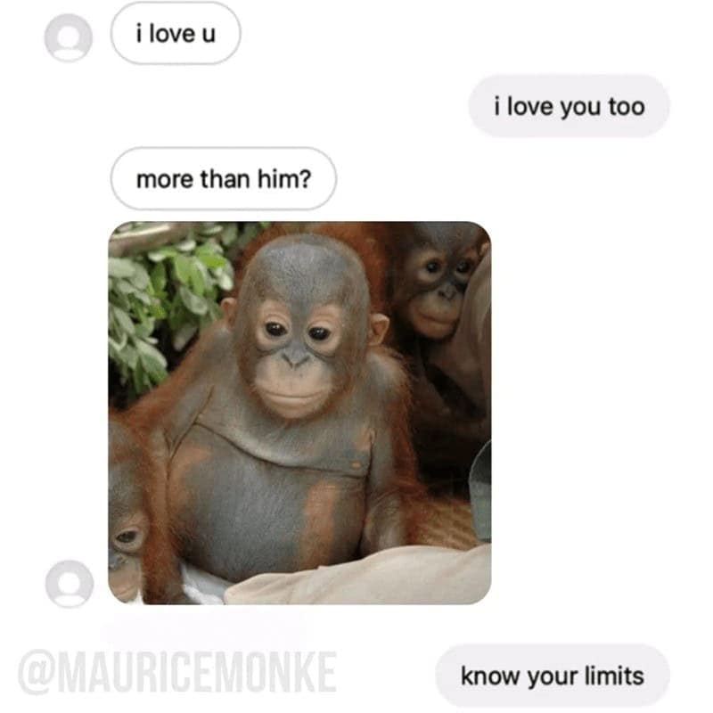 monkey meme, monkey memes, ape memes, funny animal memes, chimp memes, primate jokes, banana memes, gorilla humor, monkey jokes