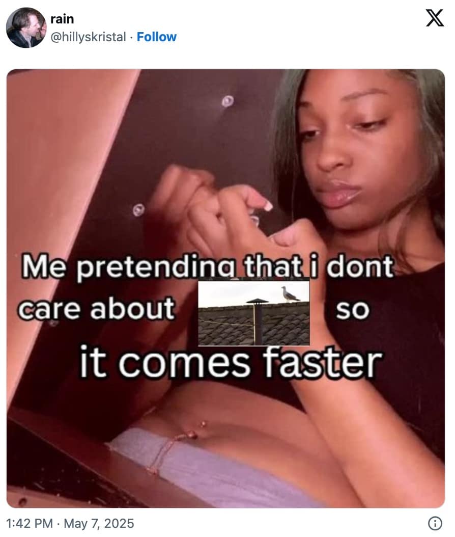 new pope memes, pope leo xiv memes, Vatican memes, papal election memes, funny religious memes, church humor, religious satire, Vatican City jokes, pope voting humor, conclave jokes, pope announcement memes, conclave memes, papal conclave memes