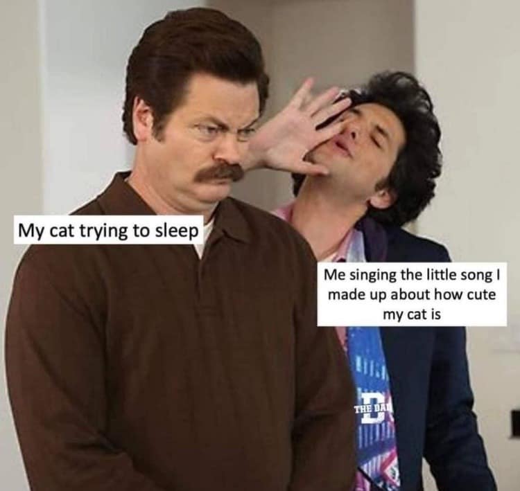 parks and rec memes, Ron Swanson memes, Leslie Knope memes, funny TV memes, Pawnee memes, Parks memes, Parks and Recreation memes, city hall memes, TV show memes, sitcom memes, Pawnee jokes, Ron Swanson jokes, Leslie Knope quotes, Treat Yo Self memes, Li’l Sebastian memes, office comedy memes, government memes, TV humor, NBC memes, Parks and Rec jokes, parks & rec memes, parks and recreation memes