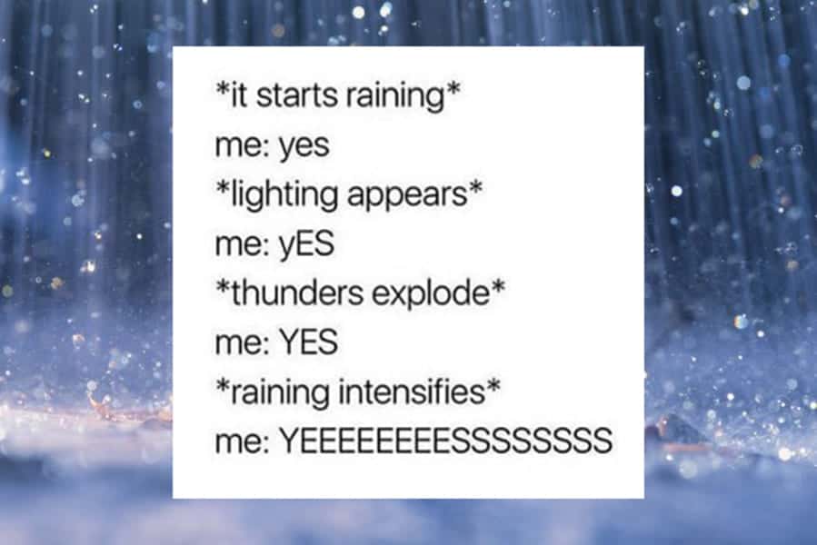 rainy day meme, rain memes, weather memes, funny memes, storm memes, wet weather jokes, rainy humor, drizzle memes, umbrella memes, gloomy day laughs, cloud memes, stormy day memes, rain joke collection, rainy mood memes, wet day funnies, soggy memes, rainstorm memes, rainy scroll memes, indoor day memes, grey sky humor