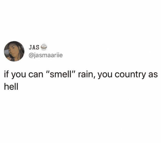 rainy day meme, rain memes, weather memes, funny memes, storm memes, wet weather jokes, rainy humor, drizzle memes, umbrella memes, gloomy day laughs, cloud memes, stormy day memes, rain joke collection, rainy mood memes, wet day funnies, soggy memes, rainstorm memes, rainy scroll memes, indoor day memes, grey sky humor