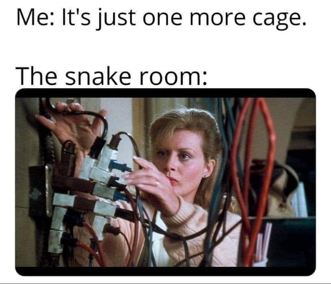 reptile memes, lizard memes, frog memes, snake memes, funny reptile memes, scaly memes, gecko memes, turtle memes, iguana memes, amphibian memes, cold-blooded memes, animal memes, funny animal memes, pet reptile jokes, reptile humor, frog jokes, snake jokes, lizard humor, meme reptiles, reptile laughs