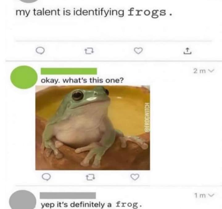 reptile memes, lizard memes, frog memes, snake memes, funny reptile memes, scaly memes, gecko memes, turtle memes, iguana memes, amphibian memes, cold-blooded memes, animal memes, funny animal memes, pet reptile jokes, reptile humor, frog jokes, snake jokes, lizard humor, meme reptiles, reptile laughs