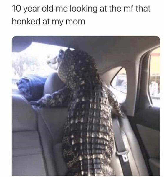 30 Funny Road Rage Memes to Help Your Commute Stress