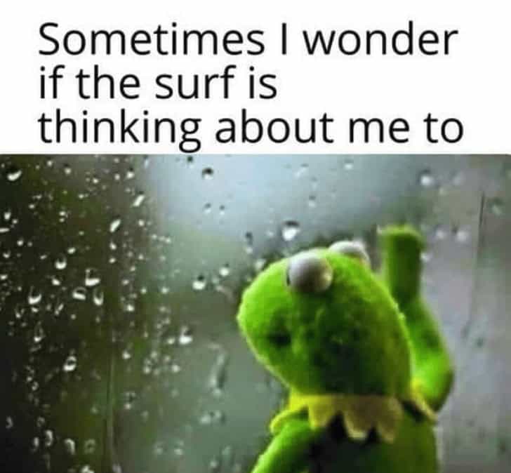 surfing memes, surf memes, wave memes, surf humor, ocean memes, surfer jokes, surfboard memes, coastal memes, sea memes, water sports memes, surf life memes, hang ten memes, big wave memes, shore break memes, surfing jokes, beach humor, swell memes, tide memes