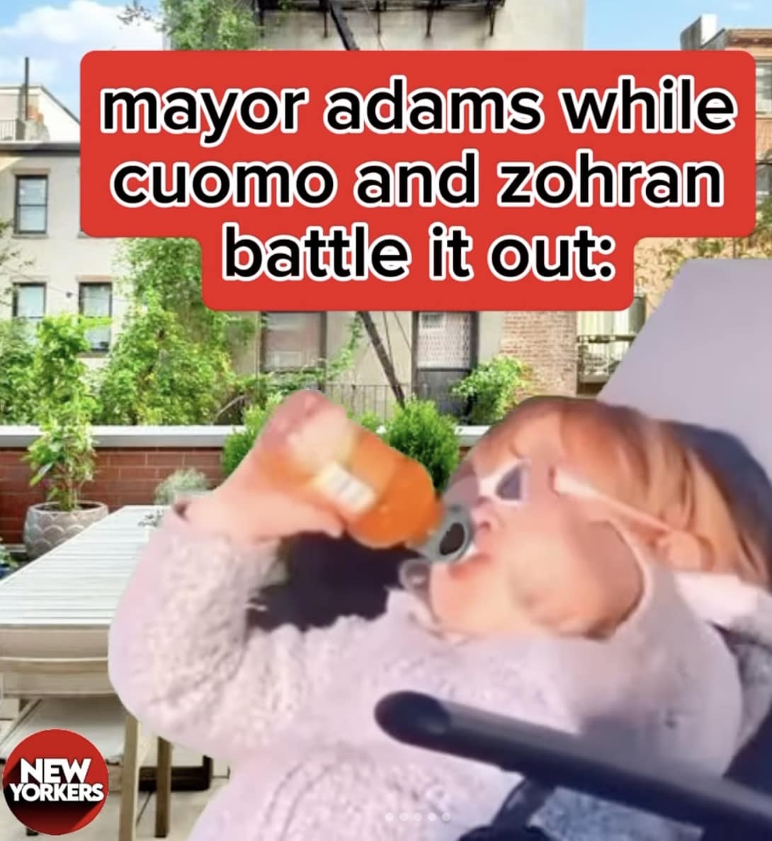 NYC election memes, andrew cuomo memes, Zohran Mamdani memes, political memes, election humor, Cuomo jokes, funny political posts, meme elections, politician roast memes