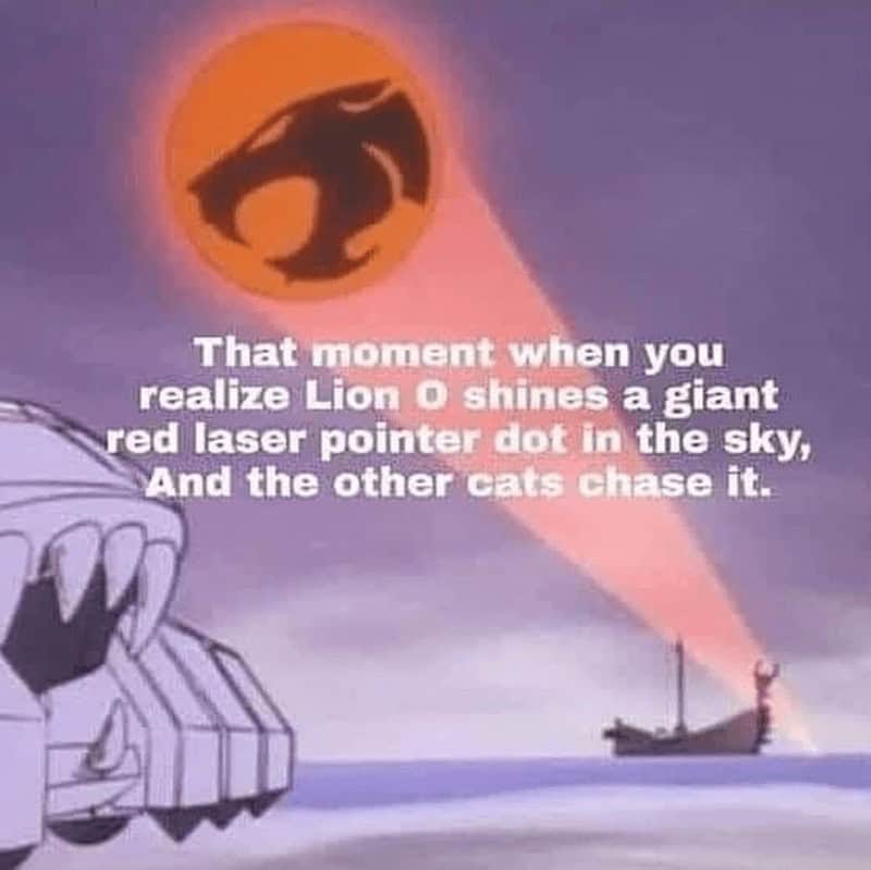 cartoon memes, funny cartoon memes, animated memes, childhood cartoons, funny cartoons, nostalgia memes, throwback memes, 90s cartoons, nostalgic humor, retro cartoons, adulting humor, grown-up struggles, adulthood jokes