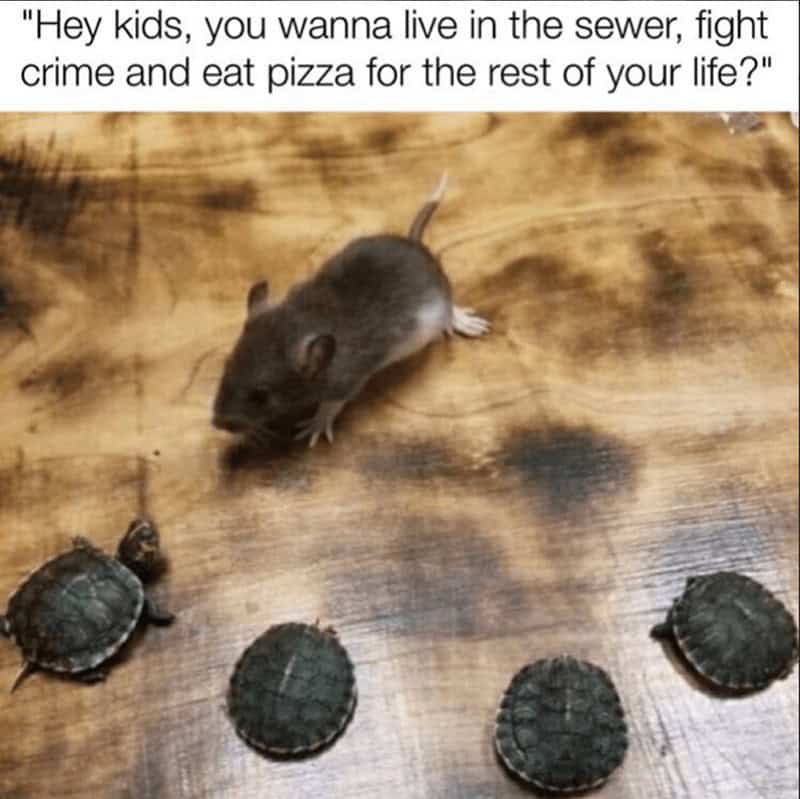 cartoon memes, funny cartoon memes, animated memes, childhood cartoons, funny cartoons, nostalgia memes, throwback memes, 90s cartoons, nostalgic humor, retro cartoons, adulting humor, grown-up struggles, adulthood jokes