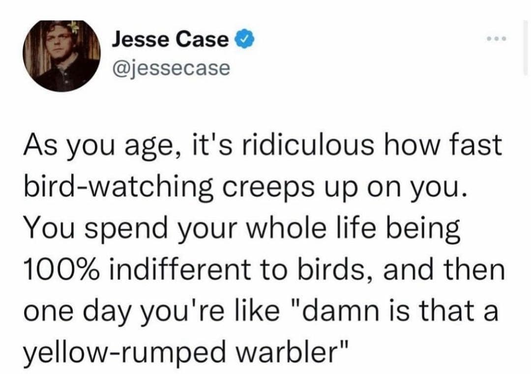 classic memes, vintage memes, viral tweets, viral memes, trending memes, old memes, meme history, internet memes, meme archive, best memes, evergreen memes, meme nostalgia, timeless memes, legendary memes, old school memes, meme classics, OG memes, funny tweets, meme culture, meme legends, internet icons