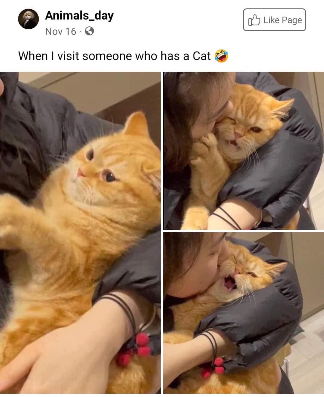 classic memes, vintage memes, viral tweets, viral memes, trending memes, old memes, meme history, internet memes, meme archive, best memes, evergreen memes, meme nostalgia, timeless memes, legendary memes, old school memes, meme classics, OG memes, funny tweets, meme culture, meme legends, internet icons