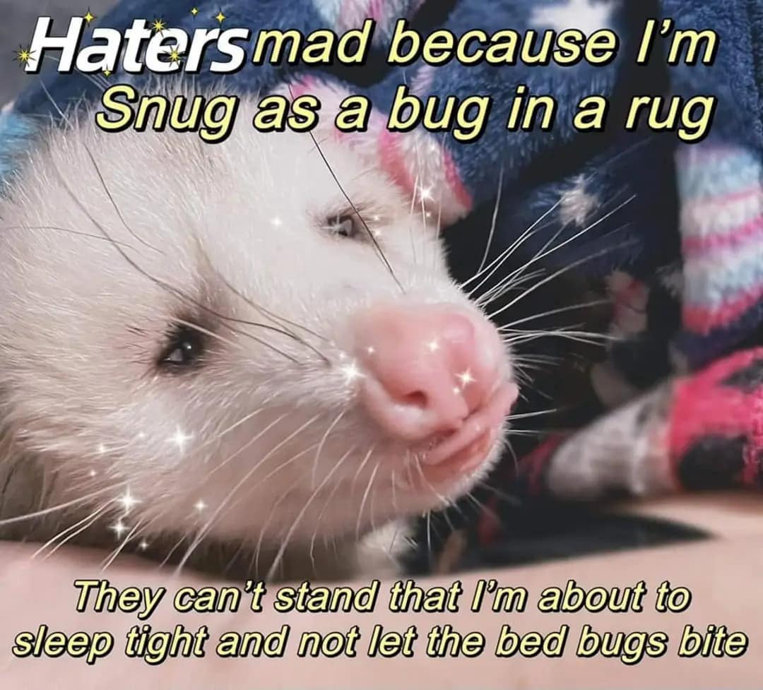 classic memes, vintage memes, viral tweets, viral memes, trending memes, old memes, meme history, internet memes, meme archive, best memes, evergreen memes, meme nostalgia, timeless memes, legendary memes, old school memes, meme classics, OG memes, funny tweets, meme culture, meme legends, internet icons