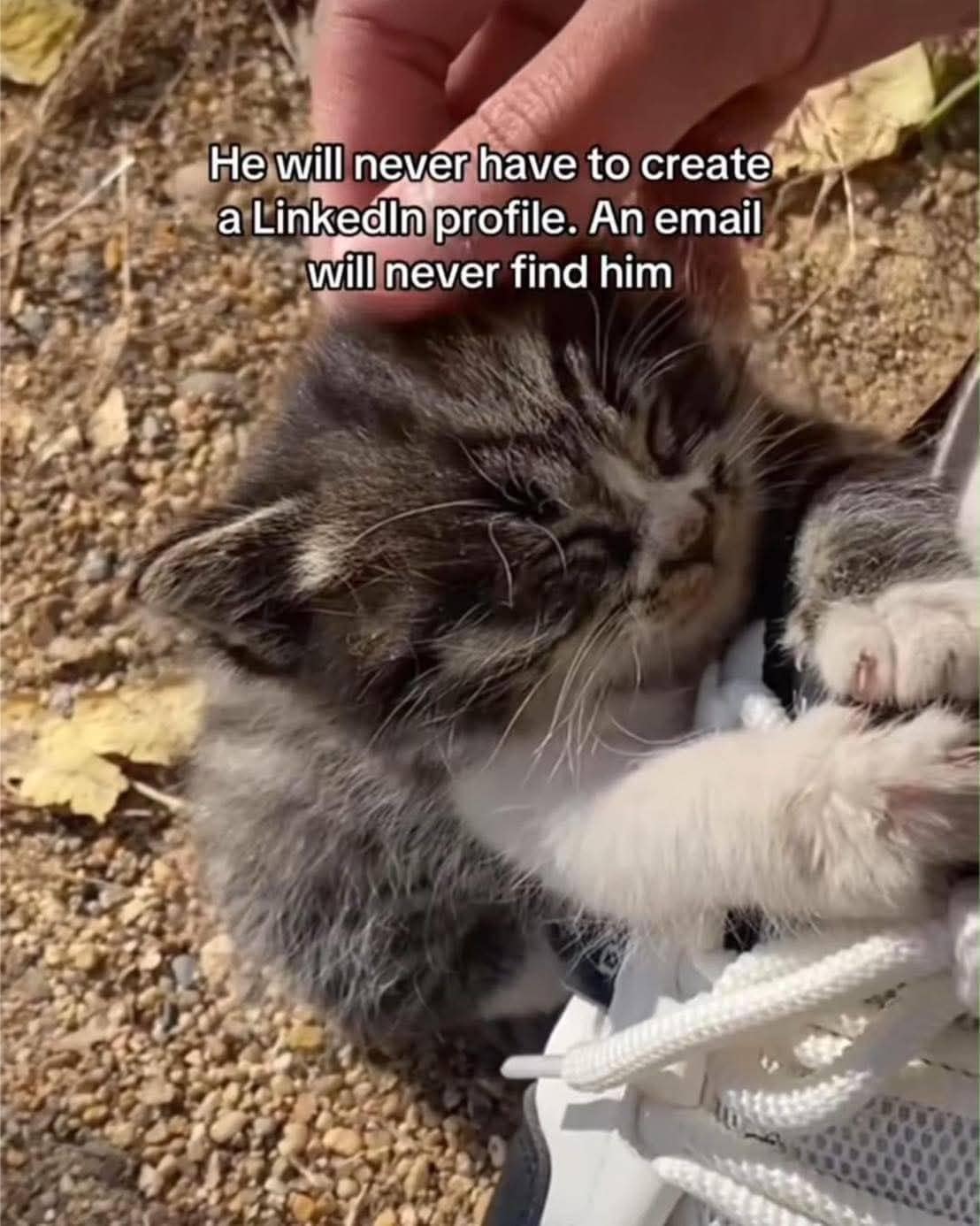 He will never have to create a Linkedin profile. An email will never find him