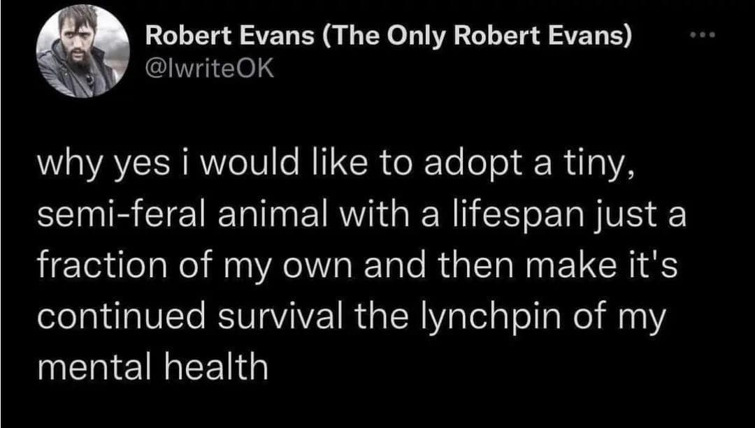 classic memes, vintage memes, viral tweets, viral memes, trending memes, old memes, meme history, meme gallery, meme nostalgia, group chat memes, shareable memes, iconic memes, internet memes, meme folder, timeless memes, classic jokes, old school memes, legendary memes, nostalgia memes, funny memes, meme culture, best memes