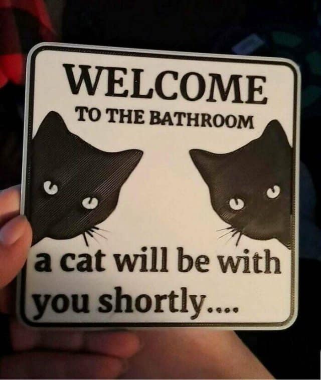 WELCOME TO THE BATHROOM a cat will be with you shortly....