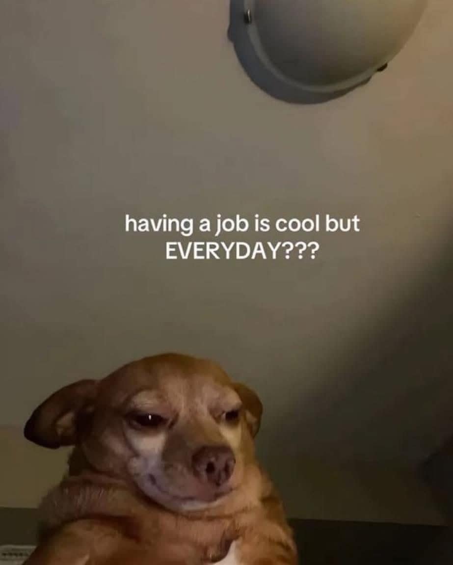 classic memes, vintage memes, viral tweets, viral memes, trending memes, old memes, meme history, internet memes, meme archive, best memes, iconic memes, timeless memes, meme gallery, shareable memes, meme nostalgia, meme legends, meme classics, internet legends, meme culture, funny memes, old school memes, group chat memes