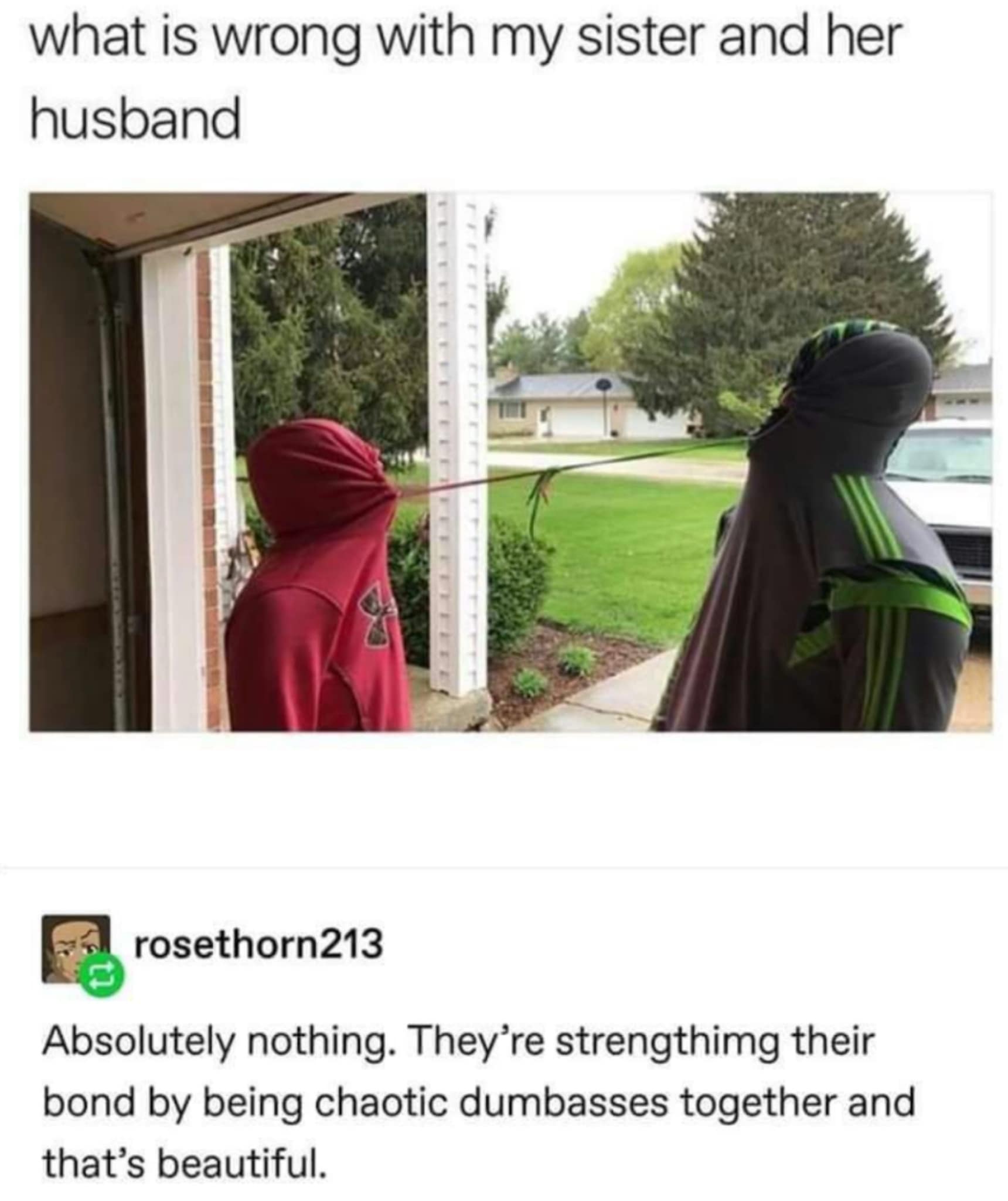 what is wrong with my sister and her husband rosethorn213 Absolutely nothing. They're strengthimg their bond by being chaotic dumbasses together and that's beautiful.