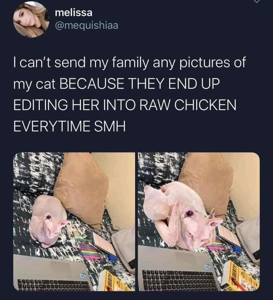 classic memes, vintage memes, viral tweets, viral memes, trending memes, old memes, meme history, meme folder, evergreen memes, meme gallery, group chat memes, legendary memes, iconic memes, internet memes, best memes, meme nostalgia, funny memes, old school memes, timeless memes, meme culture, meme collection, shareable memes