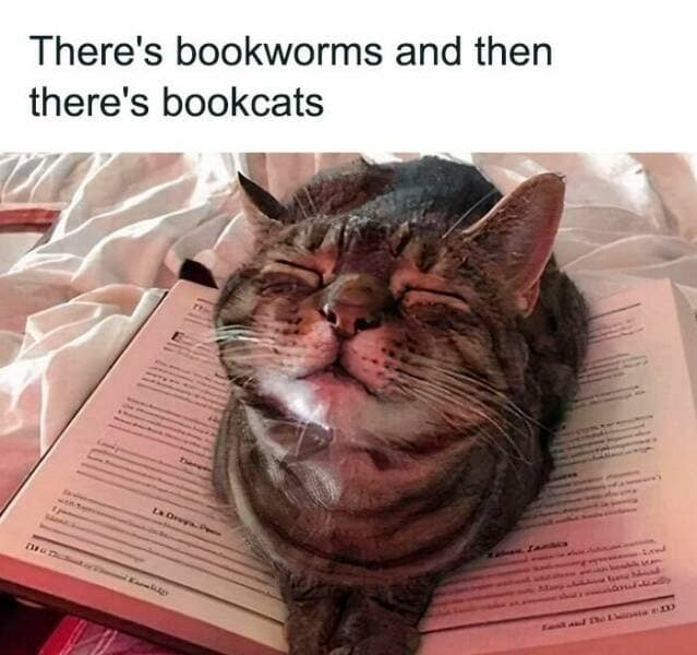 classic memes, vintage memes, viral tweets, viral memes, trending memes, old memes, meme history, internet memes, meme archive, best memes, iconic memes, timeless memes, meme gallery, shareable memes, meme nostalgia, meme legends, meme classics, internet legends, meme culture, funny memes, old school memes, group chat memes