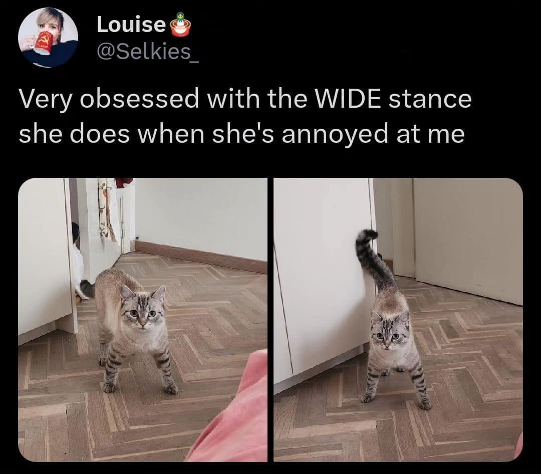 classic memes, vintage memes, viral tweets, viral memes, trending memes, old memes, meme history, internet memes, meme archive, best memes, iconic memes, timeless memes, meme gallery, shareable memes, meme nostalgia, meme legends, meme classics, internet legends, meme culture, funny memes, old school memes, group chat memes