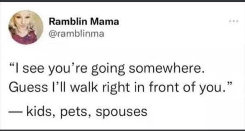 classic memes, vintage memes, viral tweets, viral memes, trending memes, old memes, meme history, meme folder, evergreen memes, meme gallery, group chat memes, legendary memes, iconic memes, internet memes, best memes, meme nostalgia, funny memes, old school memes, timeless memes, meme culture, meme collection, shareable memes