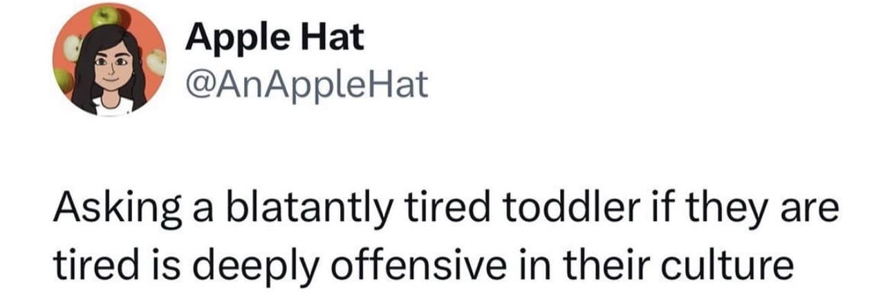 Apple Hat @AnAppleHat Asking a blatantly tired toddler if they are tired is deeply offensive in their culture