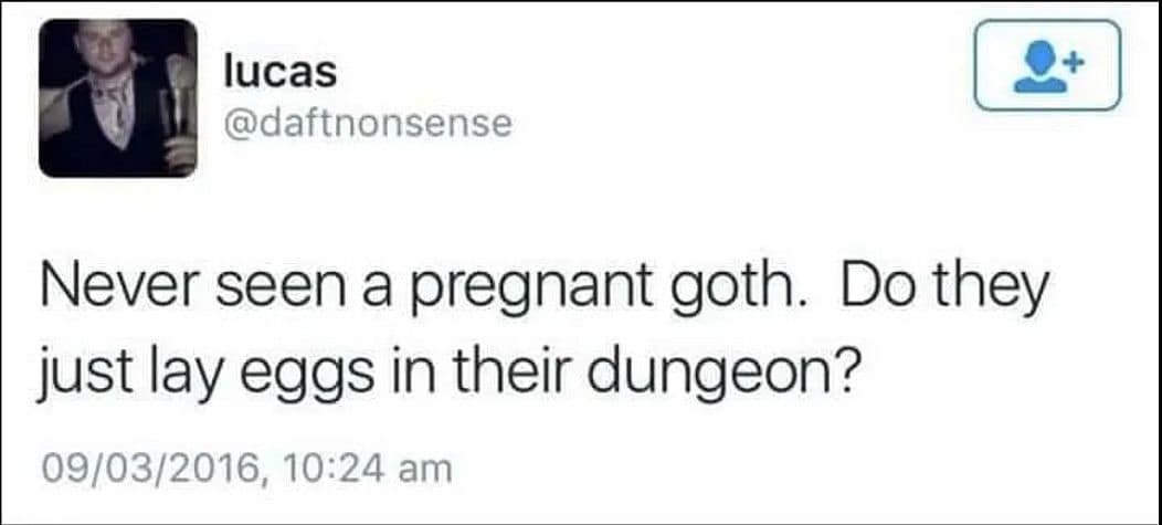 lucas @daftnonsense Never seen a pregnant goth. Do they just lay eggs in their dungeon? 09/03/2016, 10:24 am