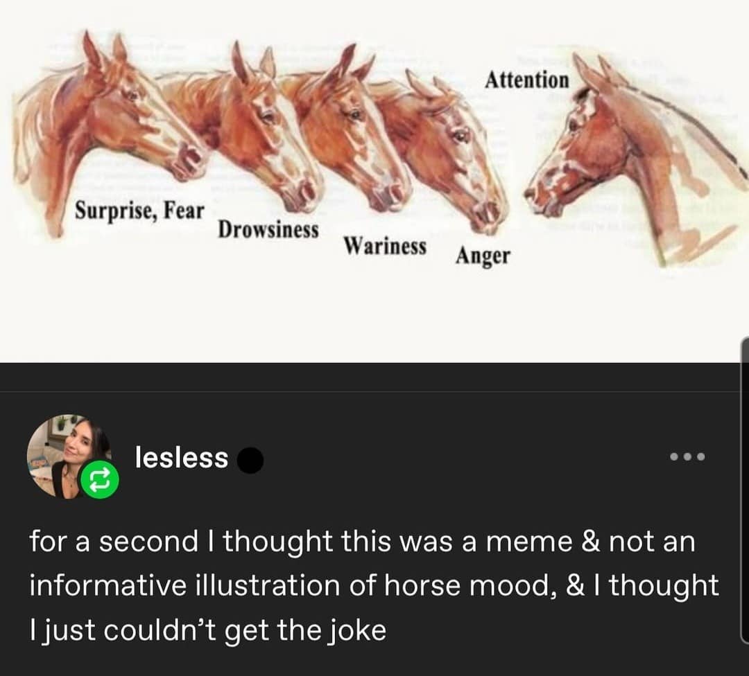 Attention Surprise, Fear Drowsiness Wariness Anger lesless for a second I thought this was a meme & not an informative illustration of horse mood, & I thought I just couldn't get the joke