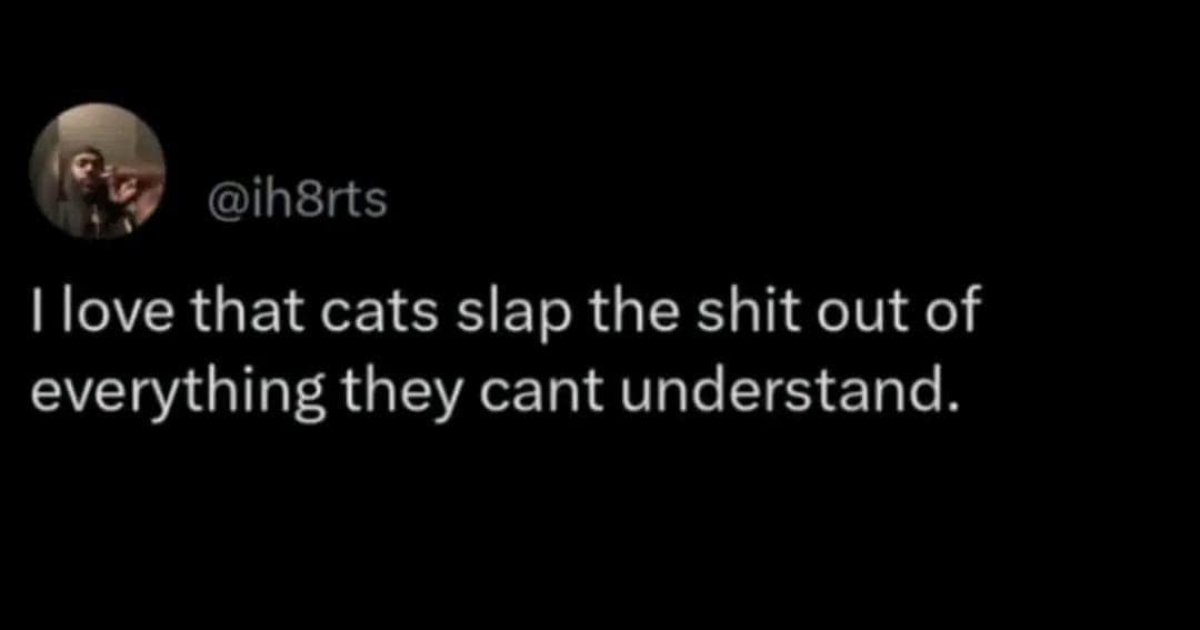 @ih8rts I love that cats slap the shit out of everything they cant understand.