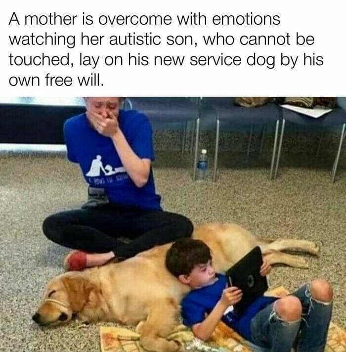 dog memes, funny dog memes, dog humor, puppy memes, funny animal memes, dog lover jokes, trending dog memes, canine memes, viral dog posts, animal memes, pet memes, best dog jokes, funny dog pics, goofy dog memes, dog owner laughs, four-legged memes, pet humor, cute dog memes, daily dog memes, dog fails, dog jokes