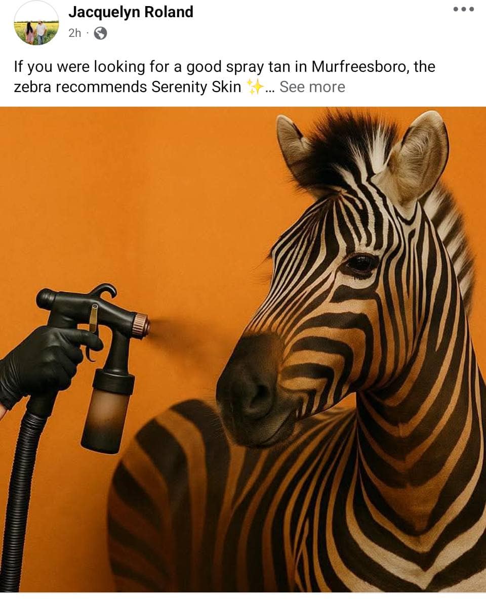 Ed the zebra memes, ed the zebra, zebra escape memes, runaway zebra memes, escaped zebra memes, animal airlift memes, helicopter animal rescue memes, dangling animal jokes, tennessee zebra, zebra sighting tennessee, zebra highway video