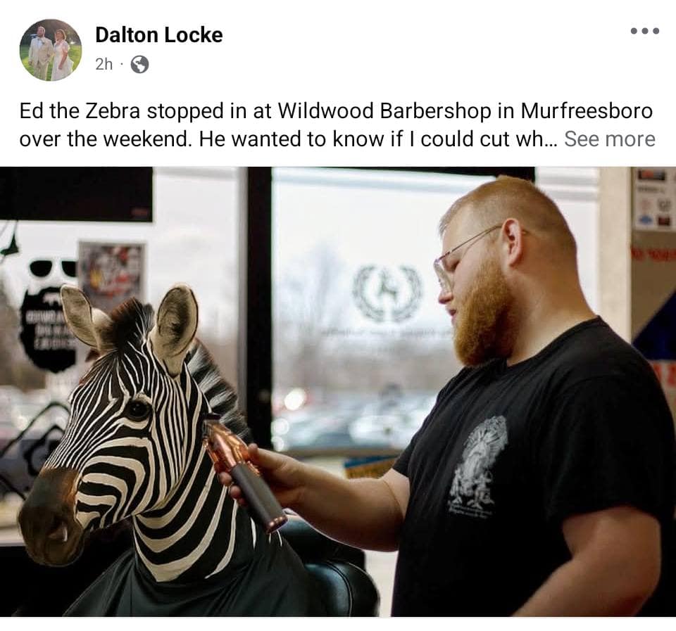 Ed the zebra memes, ed the zebra, zebra escape memes, runaway zebra memes, escaped zebra memes, animal airlift memes, helicopter animal rescue memes, dangling animal jokes, tennessee zebra, zebra sighting tennessee, zebra highway video