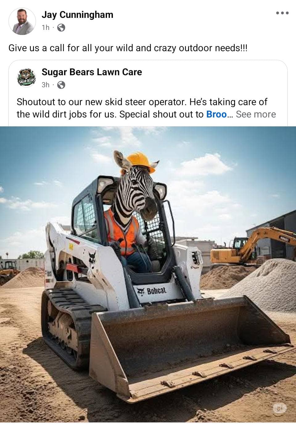 Ed the zebra memes, ed the zebra, zebra escape memes, runaway zebra memes, escaped zebra memes, animal airlift memes, helicopter animal rescue memes, dangling animal jokes, tennessee zebra, zebra sighting tennessee, zebra highway video