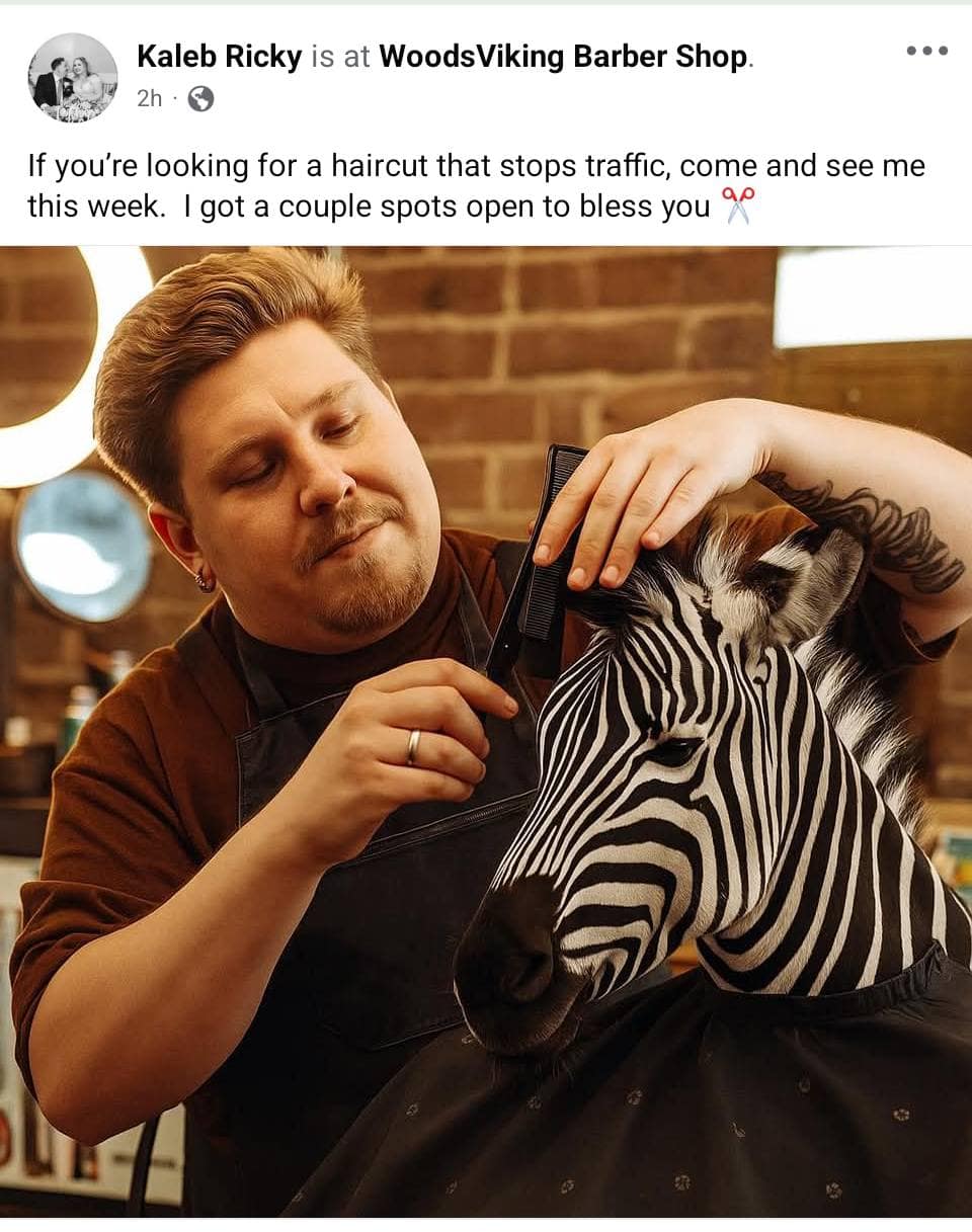 Ed the zebra memes, ed the zebra, zebra escape memes, runaway zebra memes, escaped zebra memes, animal airlift memes, helicopter animal rescue memes, dangling animal jokes, tennessee zebra, zebra sighting tennessee, zebra highway video