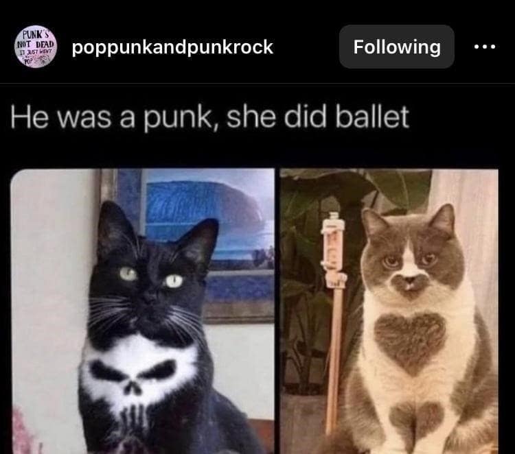He was a punk, she did ballet