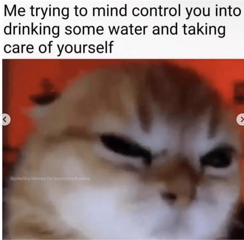 enlightenment memes, spiritual memes, mindfulness memes, meditation memes, trending memes, viral memes, funny memes, inner peace memes, awakening memes, zen memes, yoga memes, relatable memes, self-care memes, spiritual humor, group chat memes, funny spiritual memes, cosmic memes, higher self memes, positive memes, meme gallery