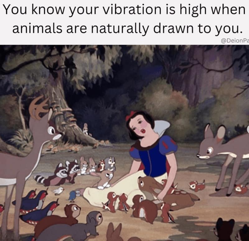 enlightenment memes, spiritual memes, mindfulness memes, meditation memes, trending memes, viral memes, funny memes, inner peace memes, awakening memes, zen memes, yoga memes, relatable memes, self-care memes, spiritual humor, group chat memes, funny spiritual memes, cosmic memes, higher self memes, positive memes, meme gallery