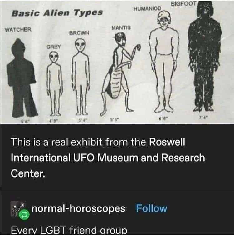 funny alien memes, alien memes, alien humor, UFO memes, conspiracy memes, space memes, alien abduction jokes, Area 51 memes, trending memes, viral space jokes, sci-fi memes, internet chaos, government memes, cosmic memes, alien sightings, weird news memes, space oddities, alien believer memes, intergalactic jokes, tinfoil hat memes, galaxy brain memes