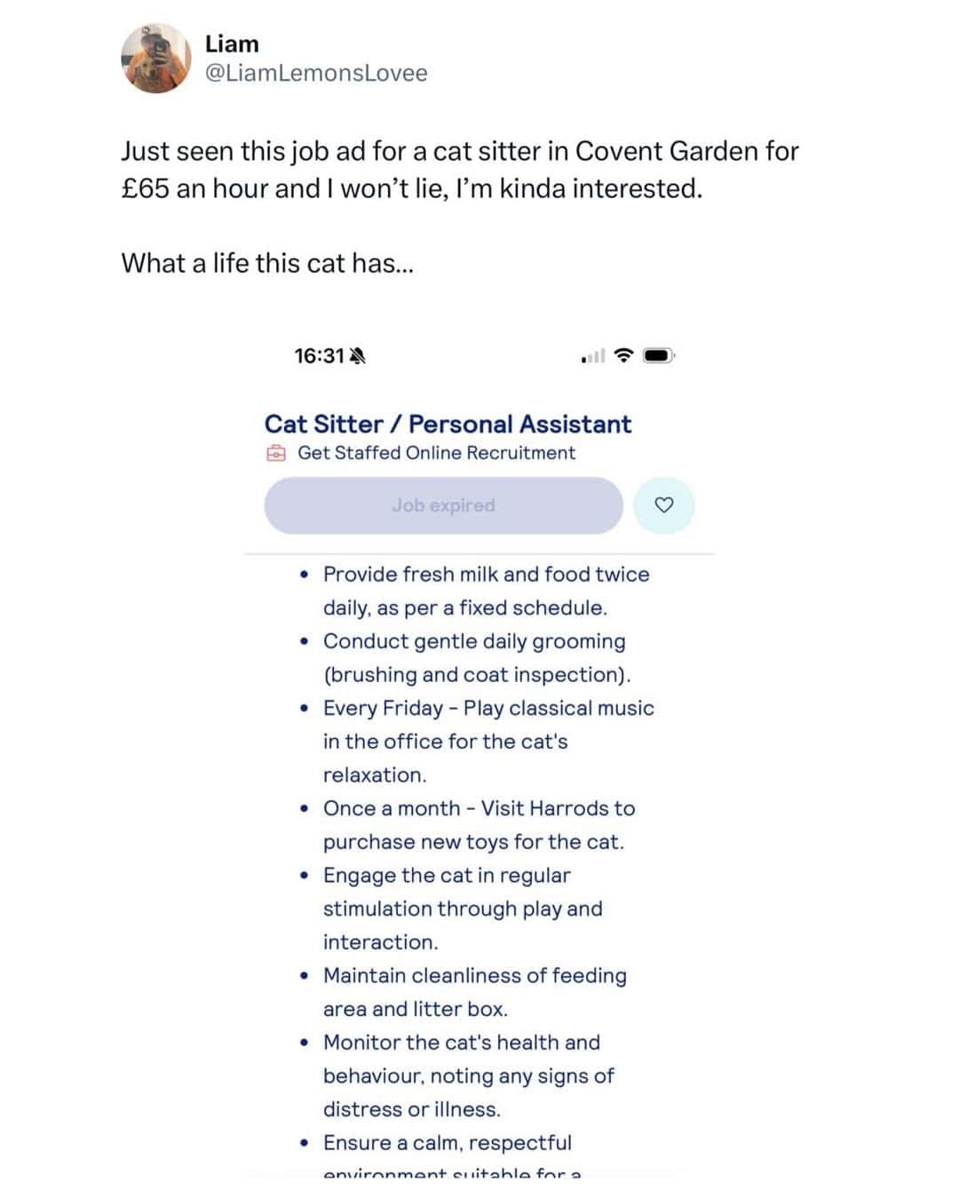 funny british memes, british memes, trending memes, viral memes, classic memes, British humour, UK memes, tea memes, sarcasm memes, dry humor memes, relatable memes, group chat memes, meme gallery, funny memes, British jokes, food fails, football memes, pub memes, viral tweets, British culture memes, internet memes