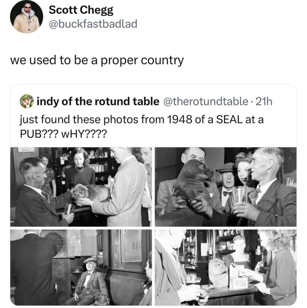 funny british memes, british memes, trending memes, viral memes, classic memes, British humour, UK memes, tea memes, sarcasm memes, dry humor memes, relatable memes, group chat memes, meme gallery, funny memes, British jokes, food fails, football memes, pub memes, viral tweets, British culture memes, internet memes