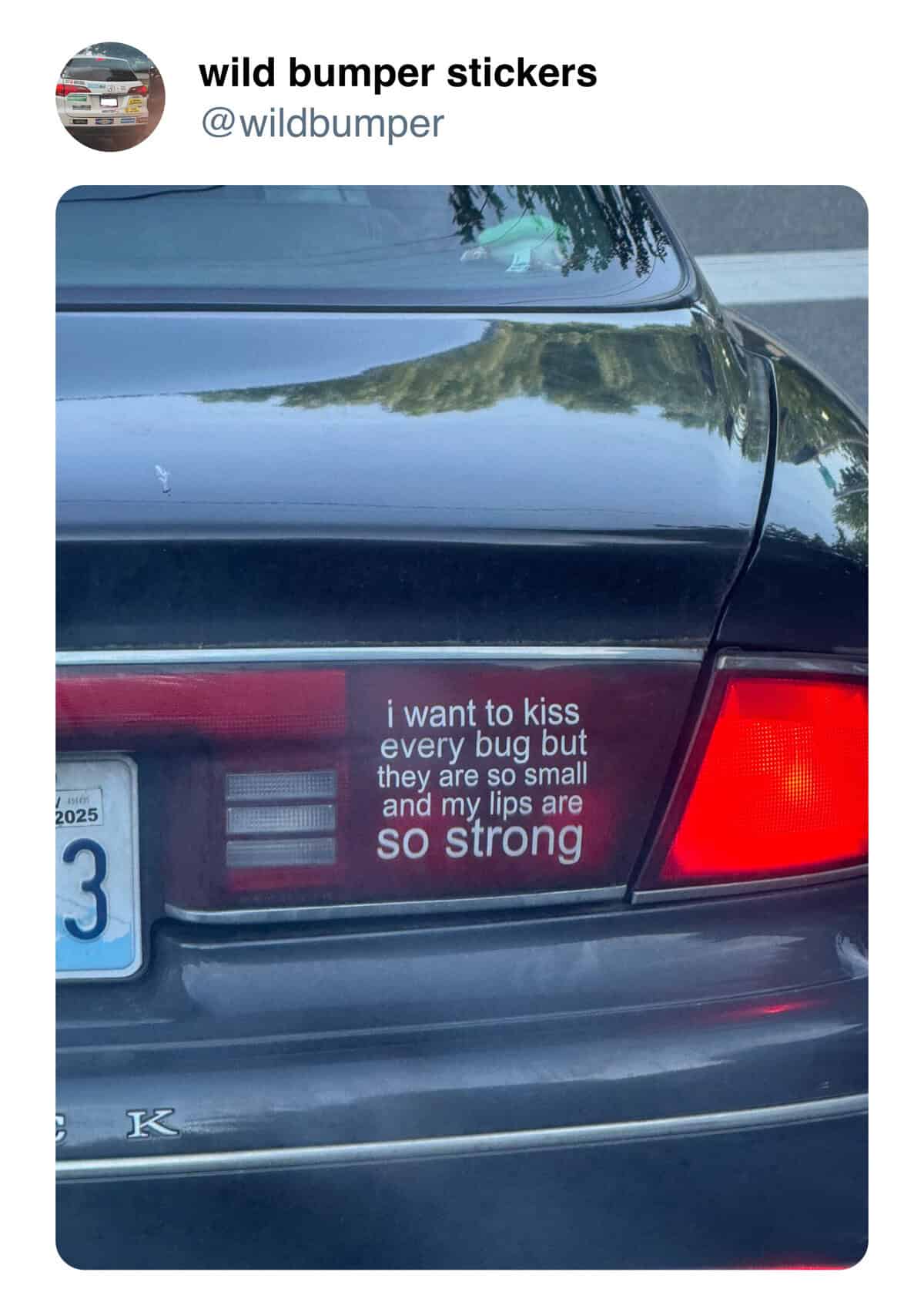 i want to kiss every bug but they are so small and my lips are so strong