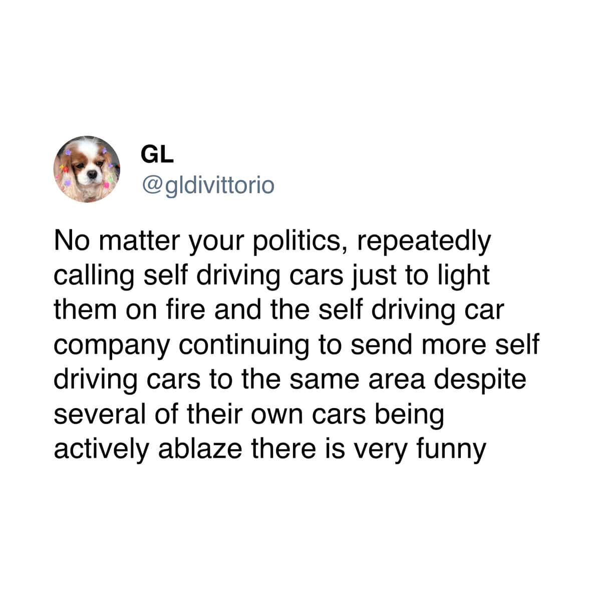 No matter your politics, repeatedly calling self driving cars just to light them on fire and the self driving car company continuing to send more self driving cars to the same area despite several of their own cars being actively ablaze there is very funny