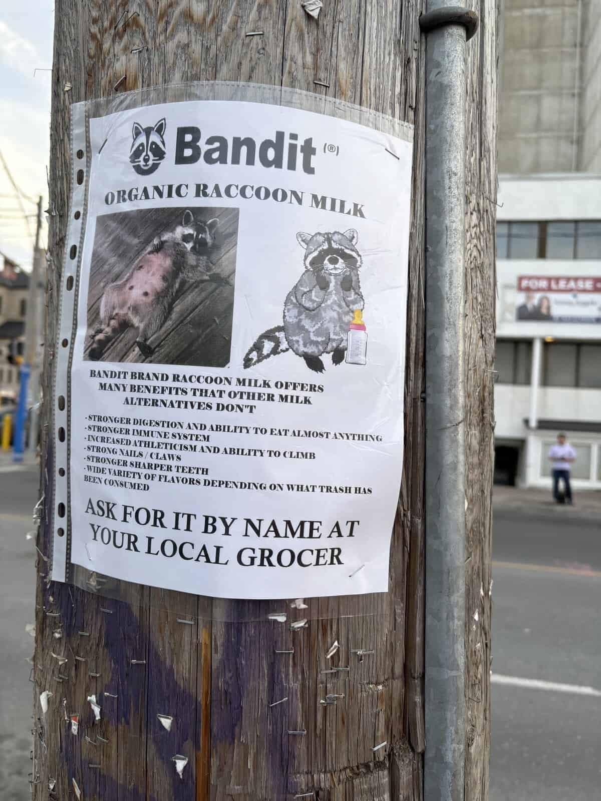 Bandit™ ORGANIC RACCOON MILK