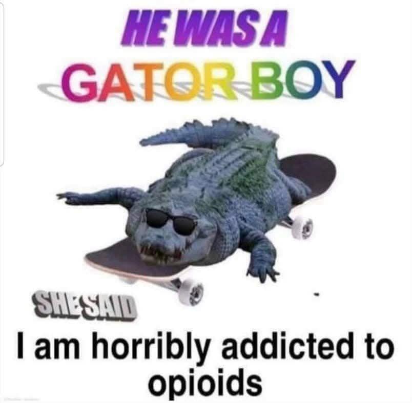 WASA GATOR BOY